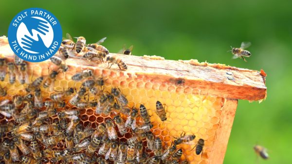 News thumbnail image